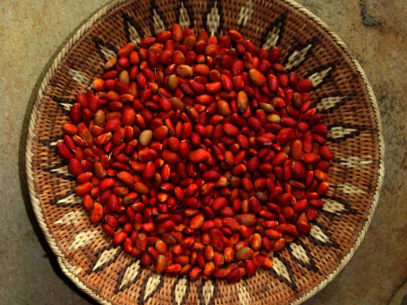 bowl filled with red seeds